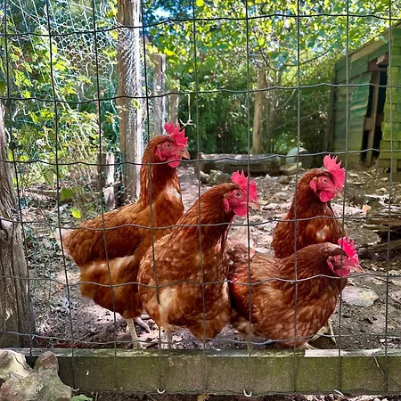 Loft Au Calme Proche Zoo * La Flèche