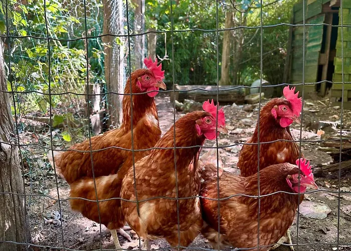 Loft Au Calme Proche Zoo * La Flèche